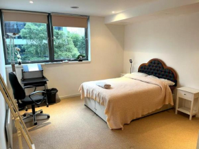 Spacious Queen Bed City Centre Penthouse With Balcony - Homeshare - Live In Host